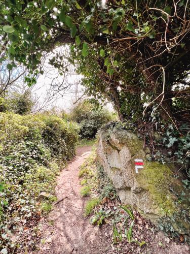 Wandelroute