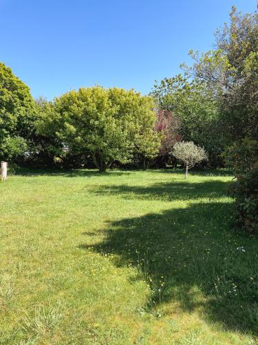 Tuin